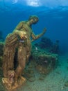 Statue of Dionysus with panther in ClaudioÃ¢â¬â¢s Ninfeum. underwater, archeology.